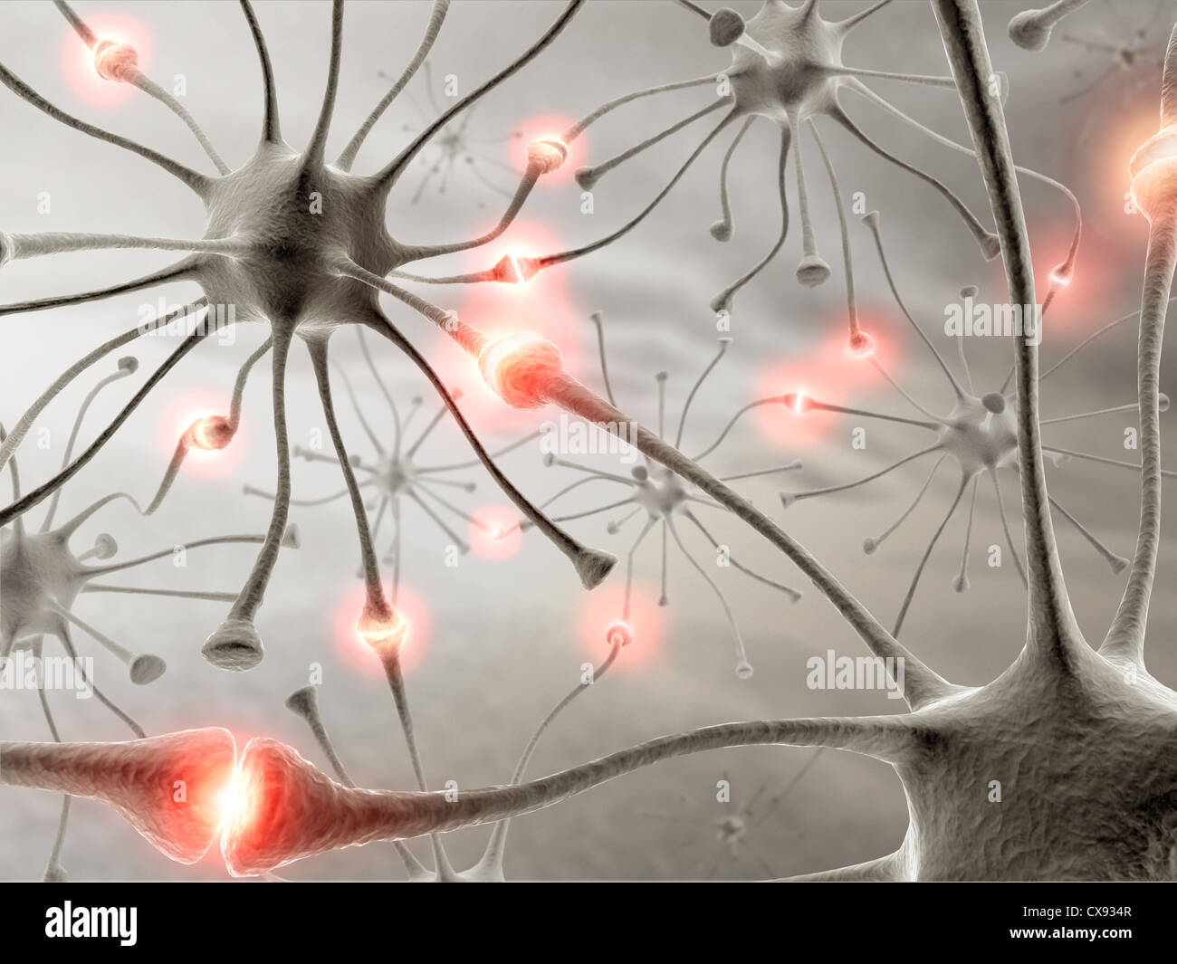 Concept de l'image d'un réseau de neurones dans le cerveau humain. Banque D'Images