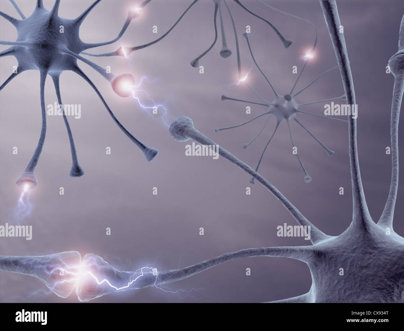 Concept de l'image d'un réseau de neurones dans le cerveau humain. Banque D'Images
