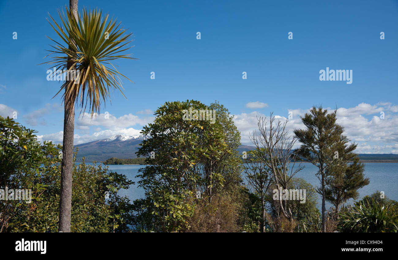 Le pittoresque Lac Parc National de Tongariro dans Rotoponamu Banque D'Images