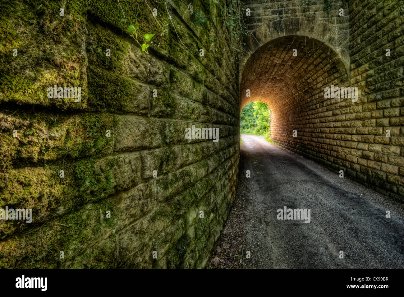 Tunnel routier avec murs couverts de mousse dans la région française de Dordogne Banque D'Images Tunnel routier avec murs couverts de mousse dans la région française de Dordogne Banque D'Images