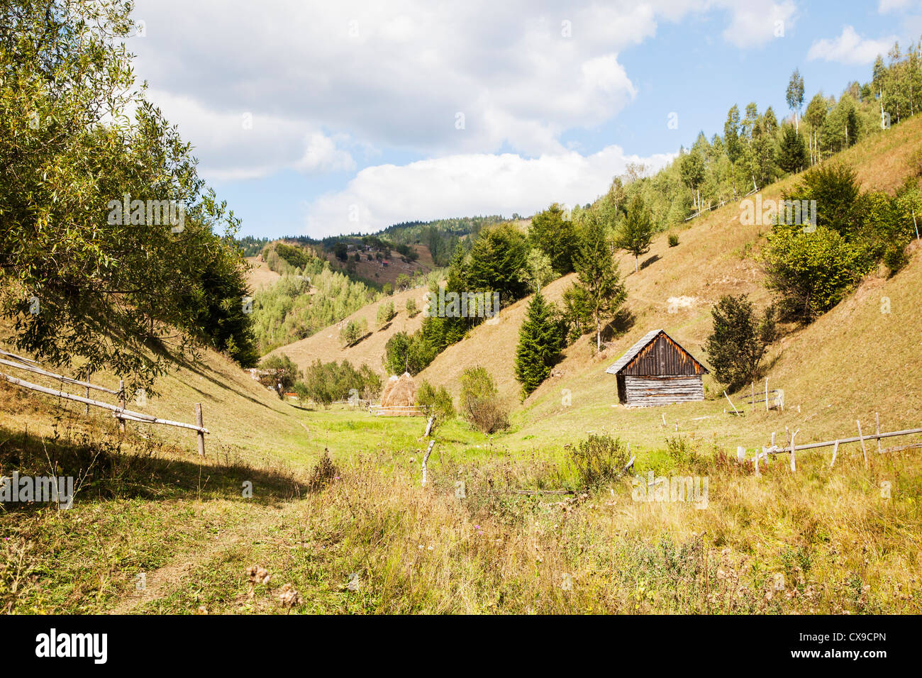 Les montagnes Piatra Craiului, centre de la Roumanie - panorama Banque D'Images