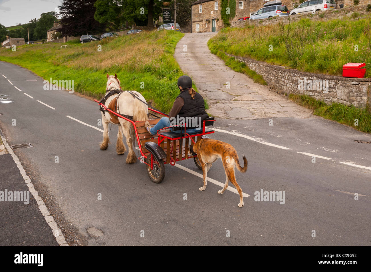 Un poney et piège à basse ligne de Swaledale , Yorkshire Dales , Angleterre , Angleterre , Royaume-Uni Banque D'Images