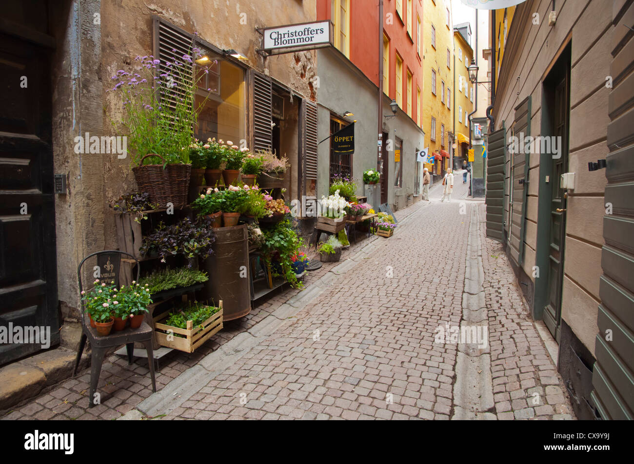 Magasin de fleur Gamla Stan, la vieille ville de Stockholm Suède Europe Banque D'Images