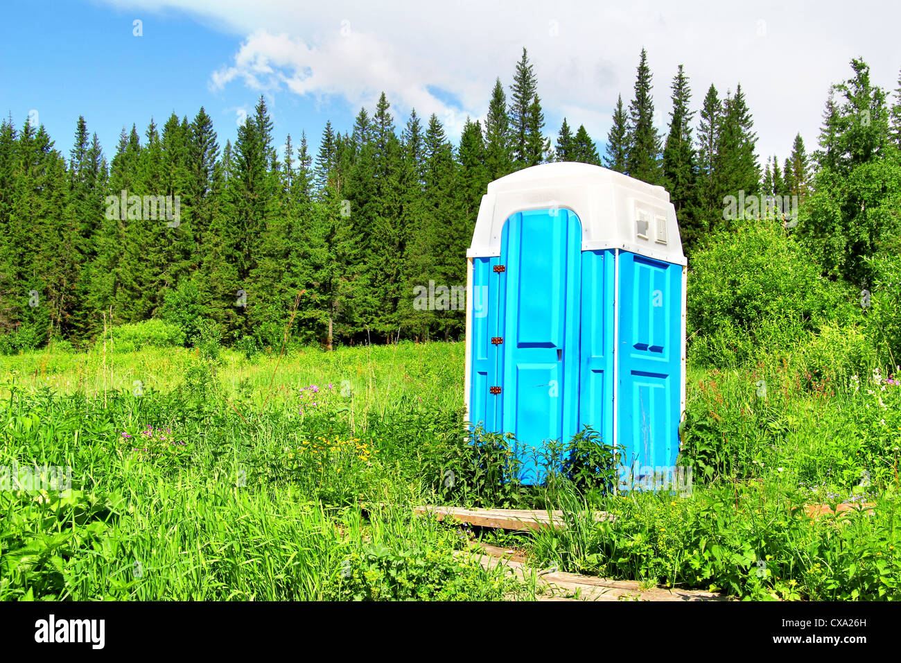 Toilettes à compostage dans une forêt Banque D'Images