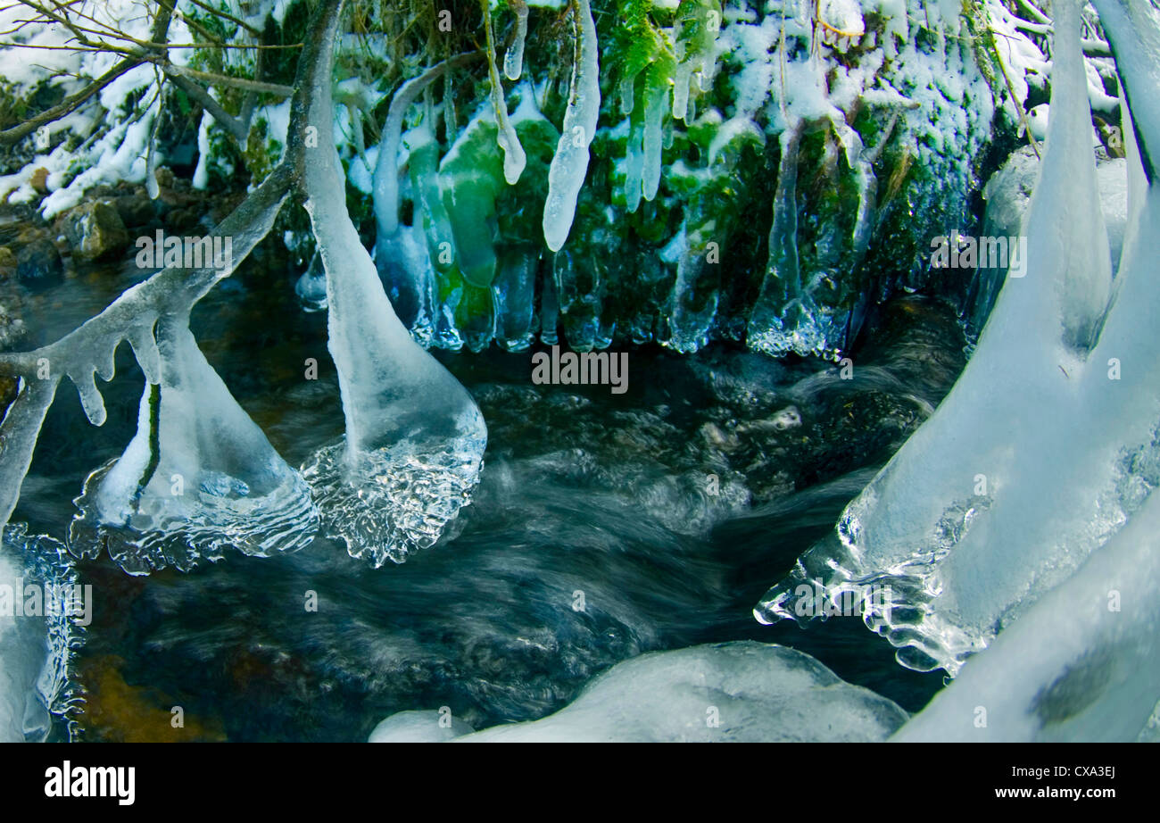 Les glaçons créer un monde fantastique sur une lande stream, Dartmoor, dans le Devon, Angleterre, Royaume-Uni. Banque D'Images