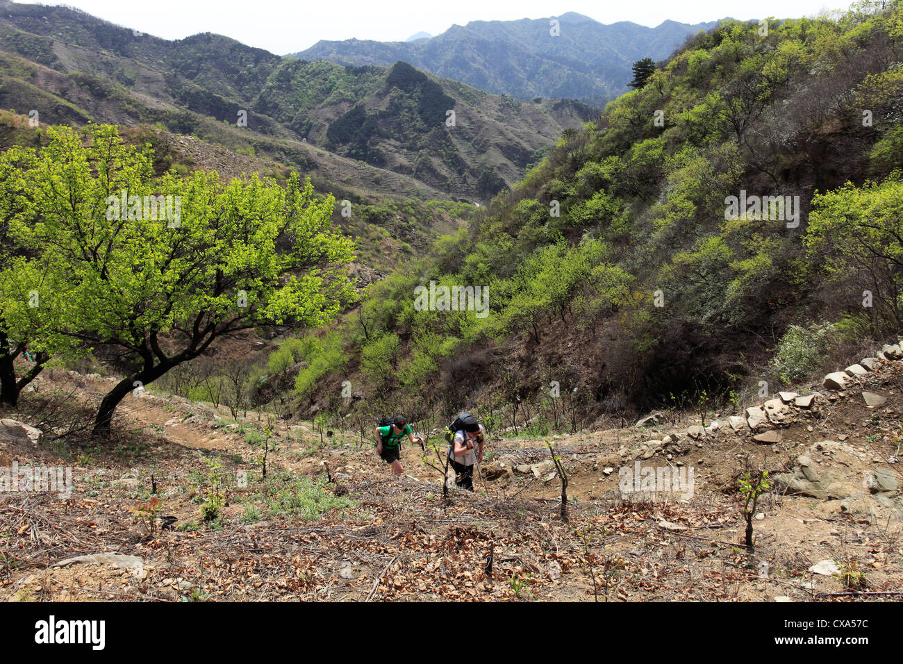 La charité les marcheurs dans la gamme de montagne de la vallée de Mutianyu, Beijing, Chine, Asie Provence Banque D'Images