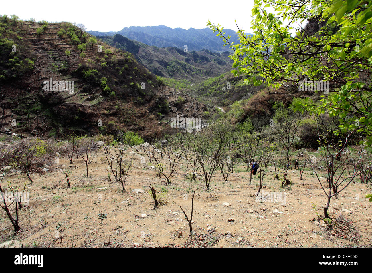 La charité les marcheurs dans la gamme de montagne de la vallée de Mutianyu, Beijing, Chine, Asie Provence Banque D'Images