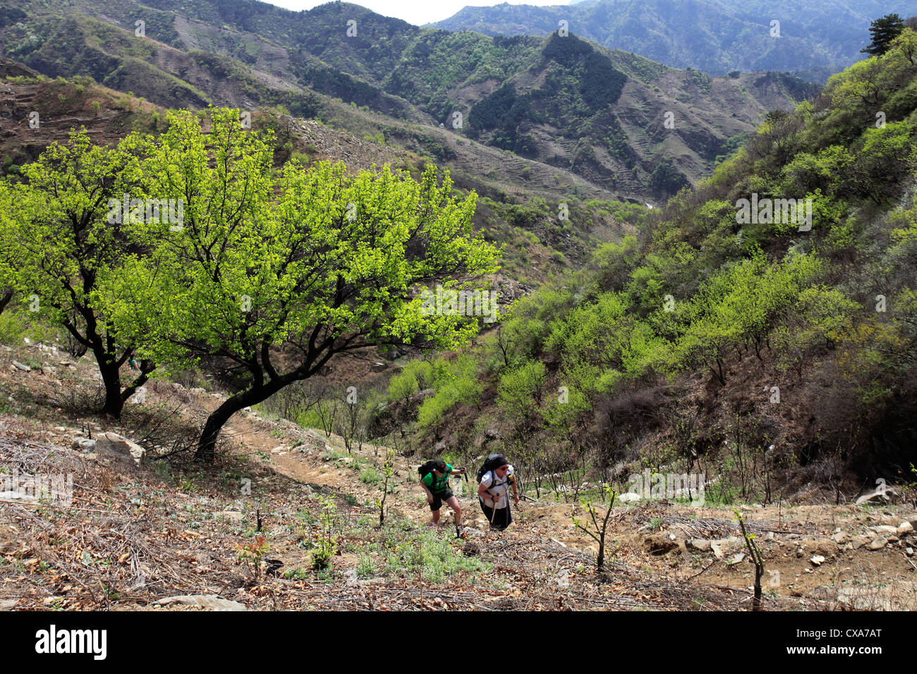 La charité les marcheurs dans la gamme de montagne de la vallée de Mutianyu, Beijing, Chine, Asie Provence Banque D'Images