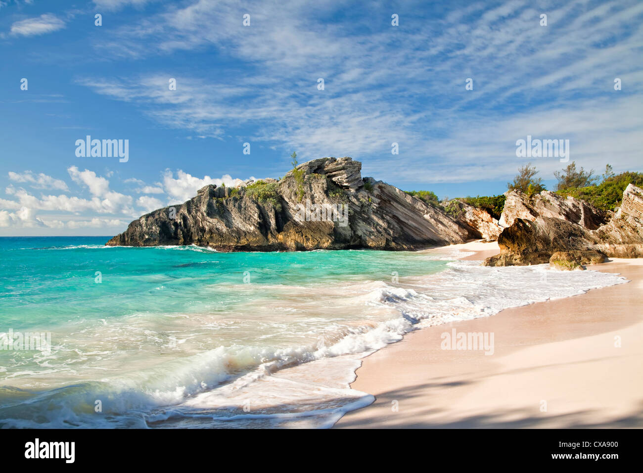 Beau sable rose sur une plage isolée sur la rive sud des Bermudes. Banque D'Images