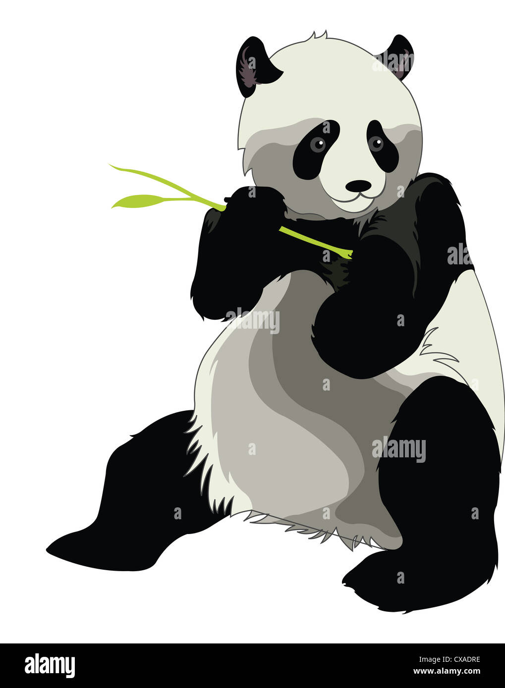 Panda géant Ailuropoda melanoleuca, manger ou d'une pousse du bambou, vector illustration Banque D'Images Panda géant Ailuropoda melanoleuca, manger ou d'une pousse du bambou, vector illustration Banque D'Images