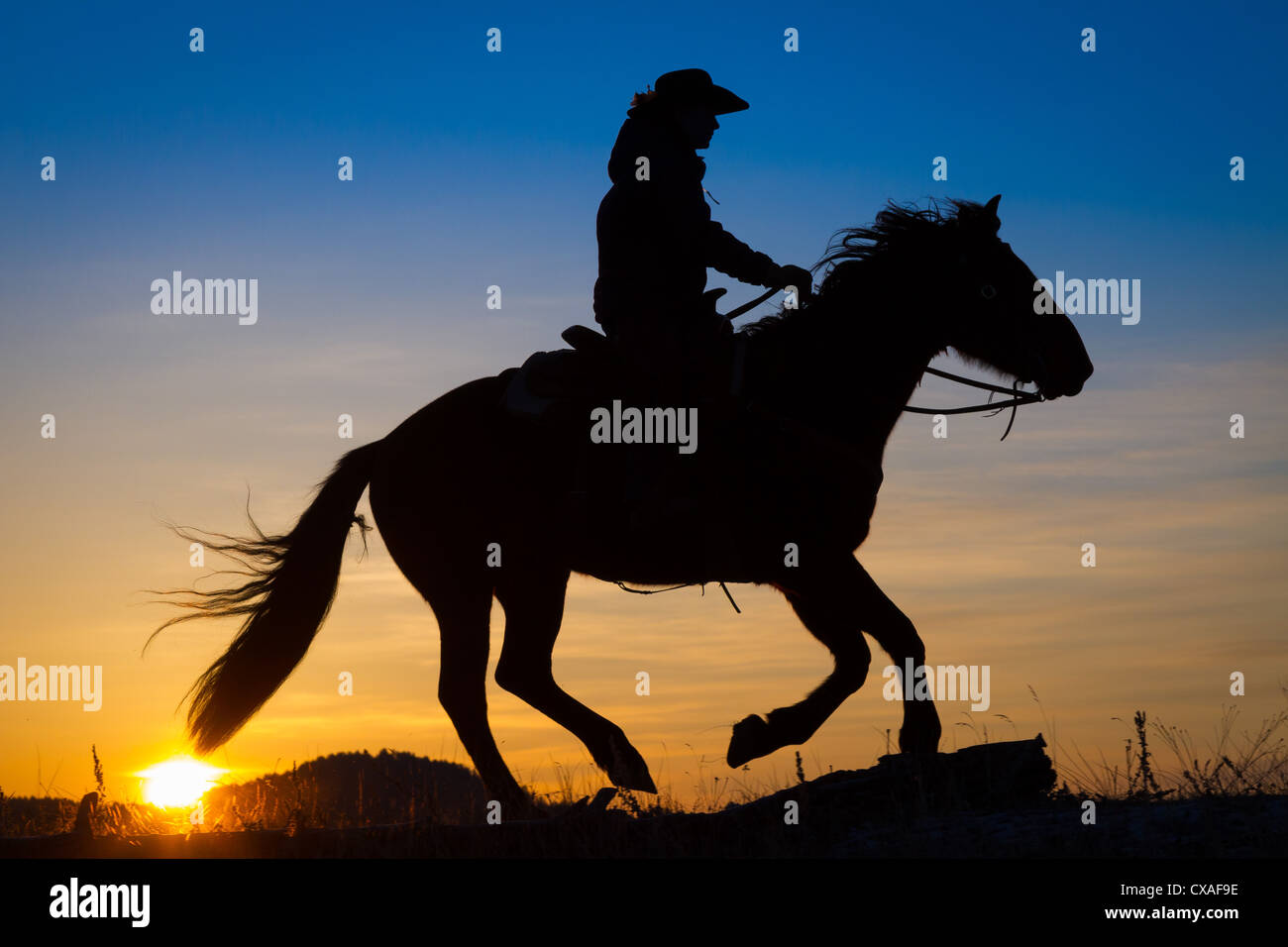 Cowgirl sur équitation à travers une crête au lever du soleil sur un ranch dans le nord-est du Wyoming Banque D'Images