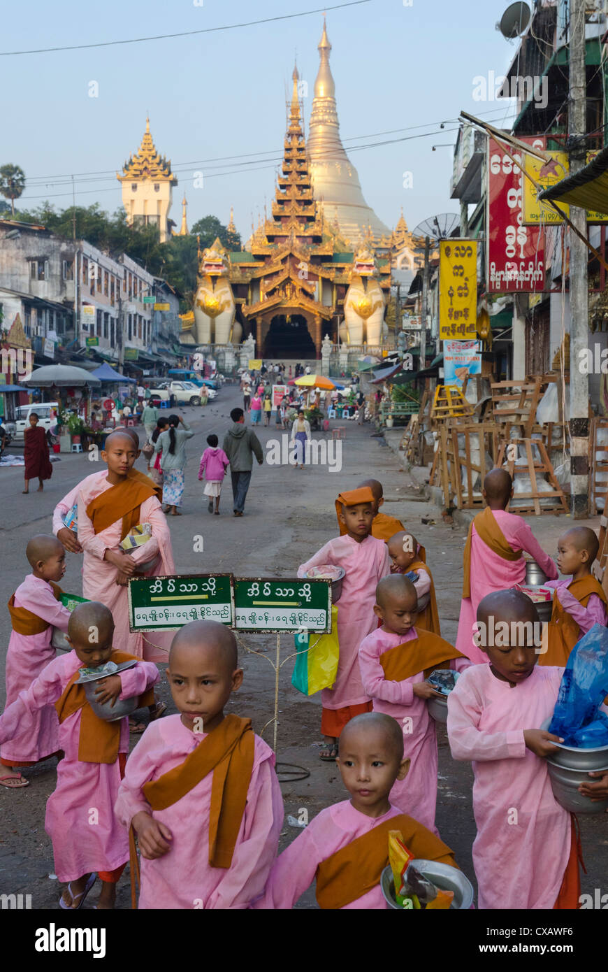 Jeune moniale novices en face de l'entrée est de pagode Shwedagon, Yangon, Myanmar (Birmanie), l'Asie Banque D'Images