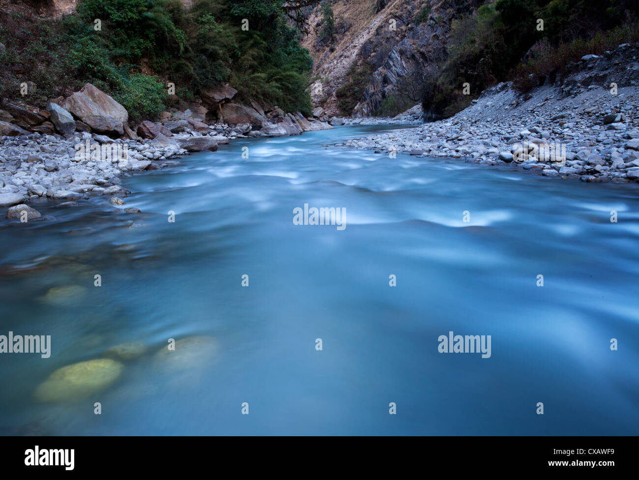 Belle rivière de montagne qui coule à travers la vallée du Langtang, au Népal Banque D'Images