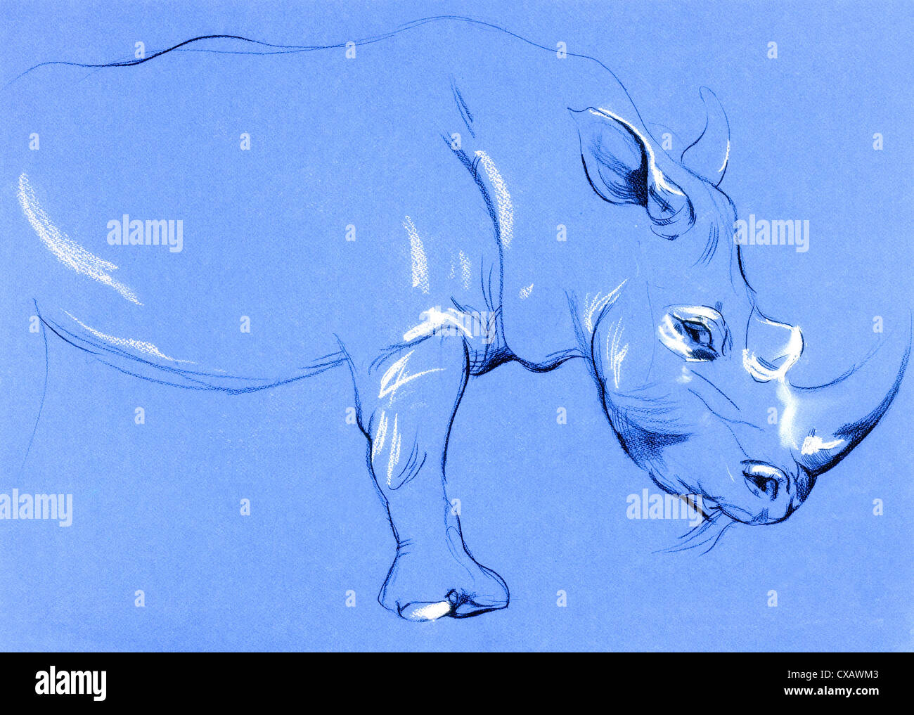 Pastel Original dessiné à la main et travail de peinture ou de croquis de rhinoceros.Free composition Banque D'Images
