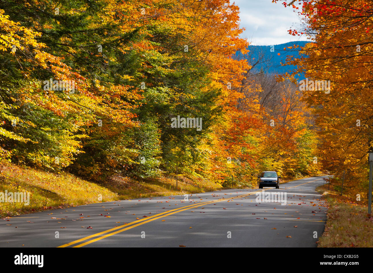 Bear Notch Road, White Mountains National Forest, New Hampshire, New England, États-Unis d'Amérique, Amérique du Nord Banque D'Images