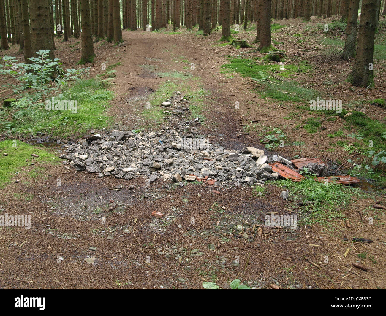 Élimination de déchets de démolition dans le bois / Bauschuttentsorgung im Wald Banque D'Images