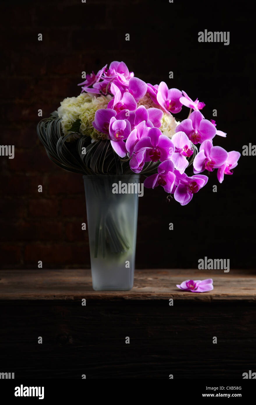Bouquet Orchidée pourpre Banque D'Images