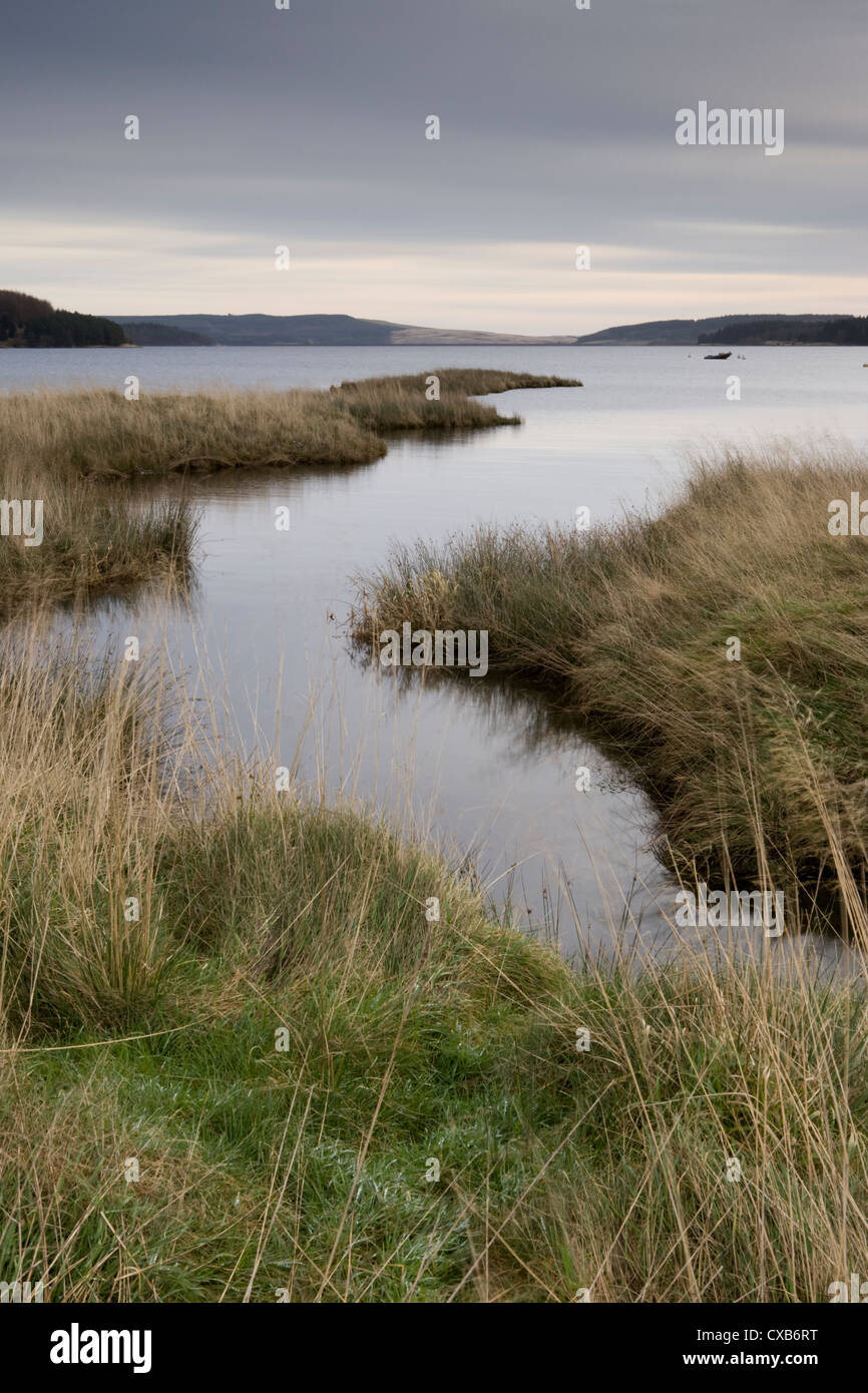 Kielder Water et forêt en Parc National de Northumberland, Angleterre est un important réservoir de l'homme Banque D'Images