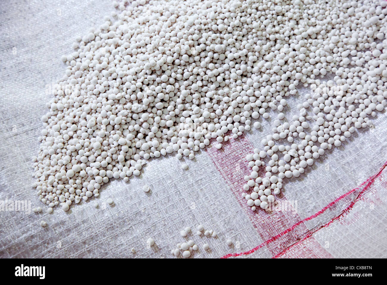 Le sagou à Sarawak Cultural Village, Bornéo Banque D'Images