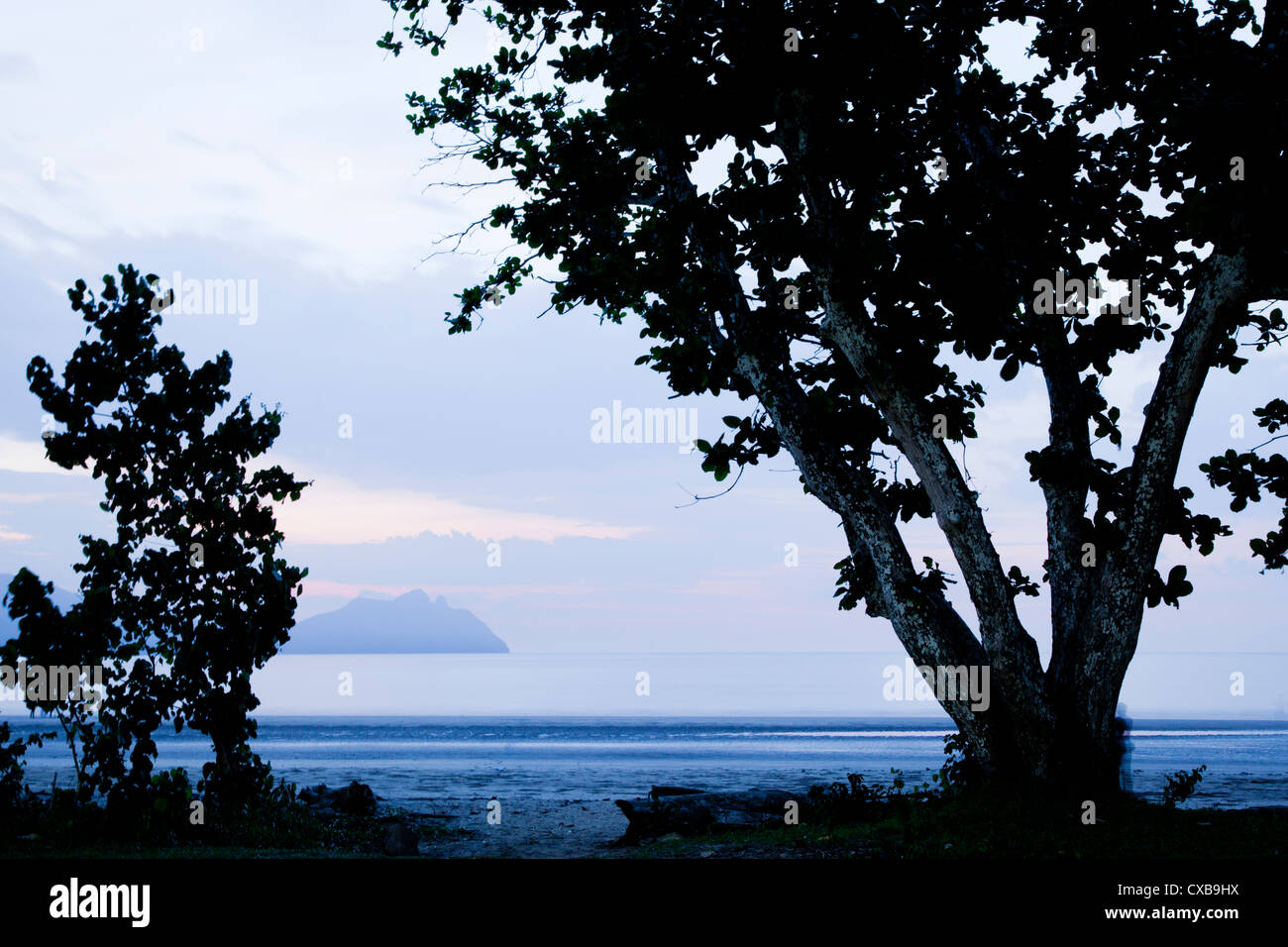 Soirée au parc national de Bako, Bornéo Banque D'Images