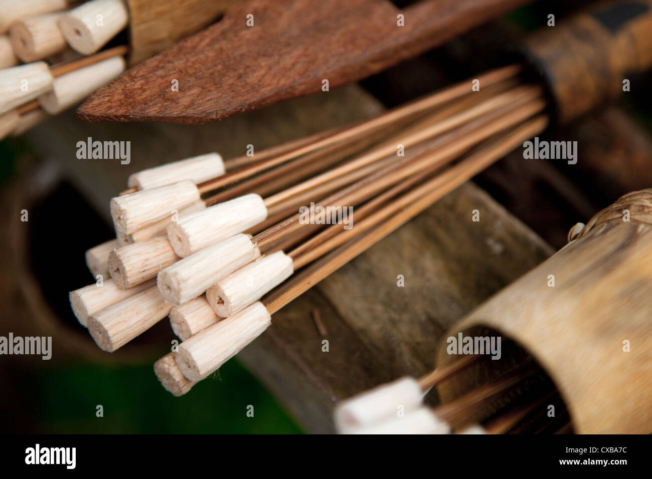 Pour les flèches de sarbacane, tribu Orang Asli de Malaisie Banque D'Images