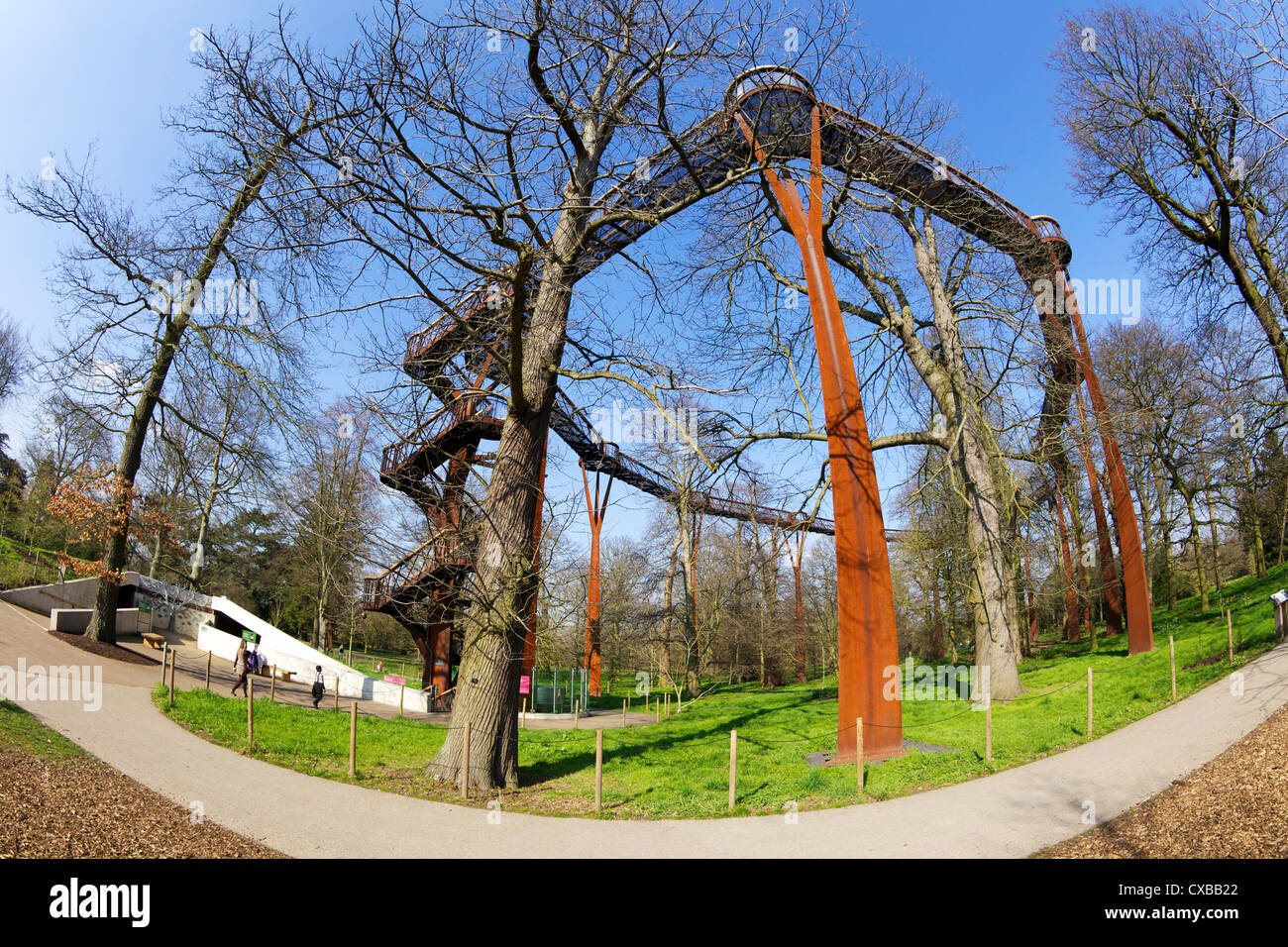 Rhizotron et Xstrata Treetop Walkway, Royal Botanic Gardens, Kew, UNESCO World Heritage Site, Londres, Angleterre, Royaume-Uni Banque D'Images