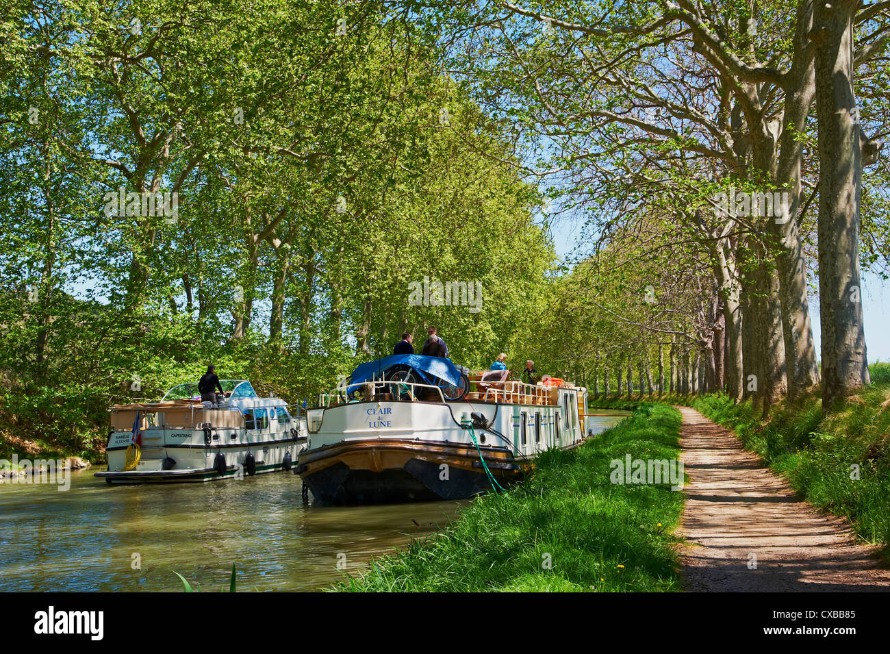 La navigation sur le Canal du Midi, classé au Patrimoine Mondial de l'UNESCO, entre Béziers et Carcassonne, Aude, Languedoc Roussillon, France Banque D'Images