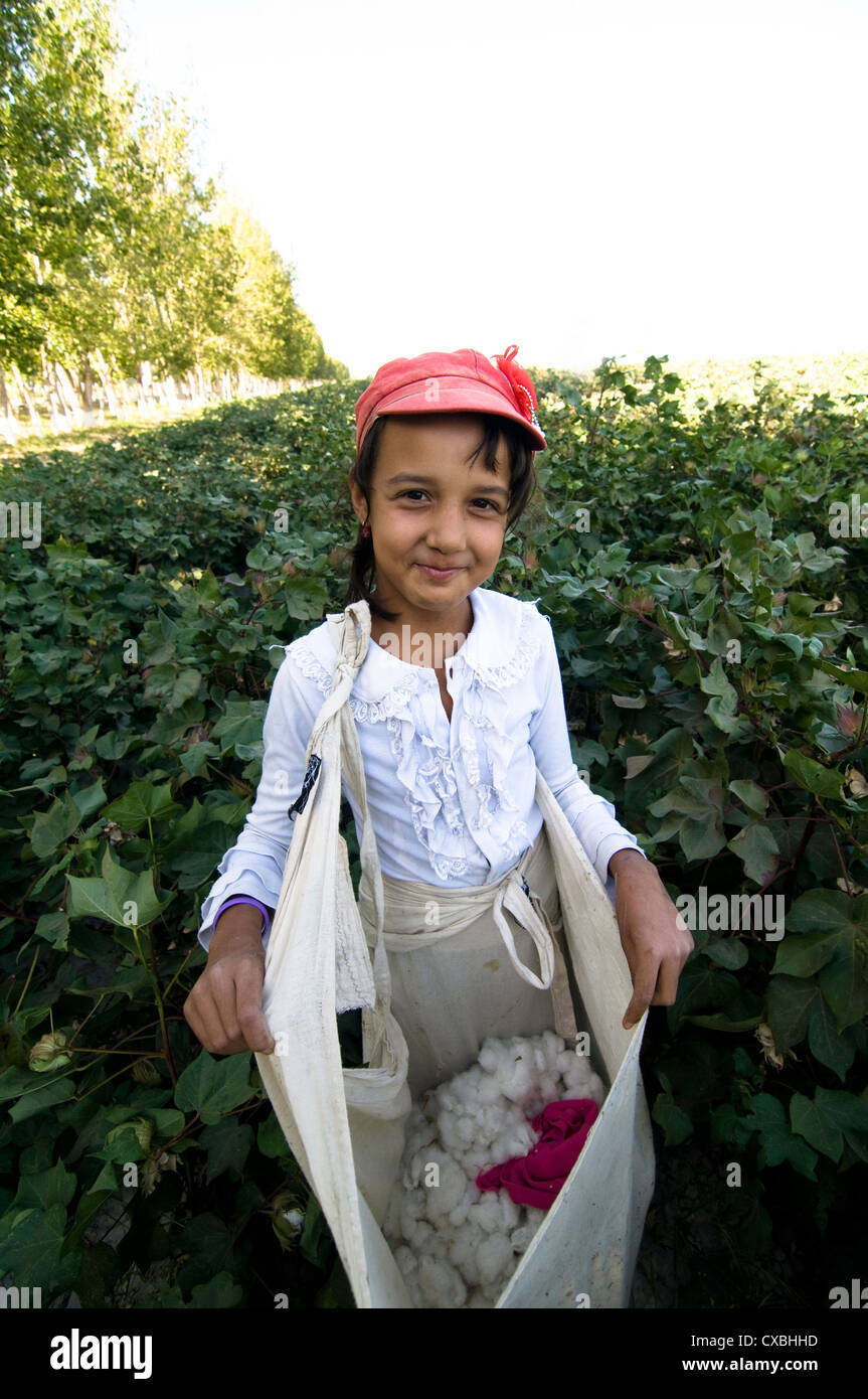 Femmes ouzbeks travaillant dans les champs de coton dans le centre de l'Ouzbékistan. Banque D'Images