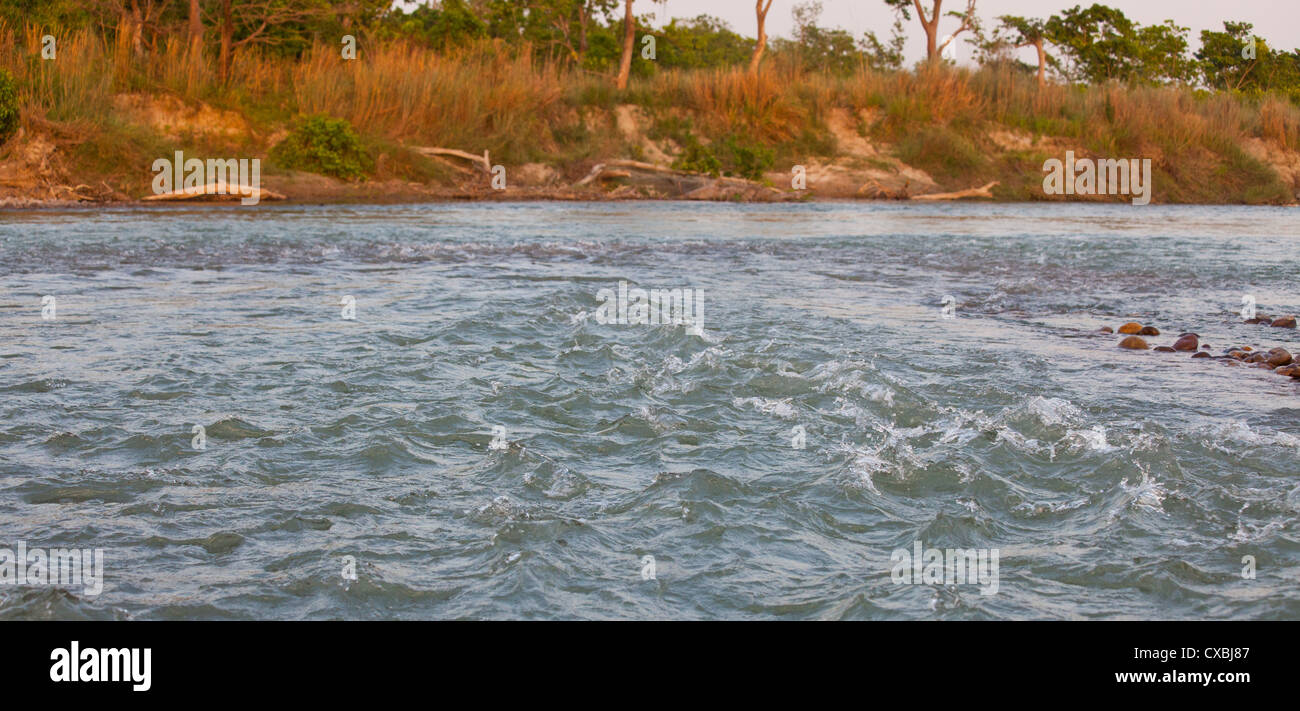 Rivière qui coule, le parc national de Bardia, Népal Banque D'Images