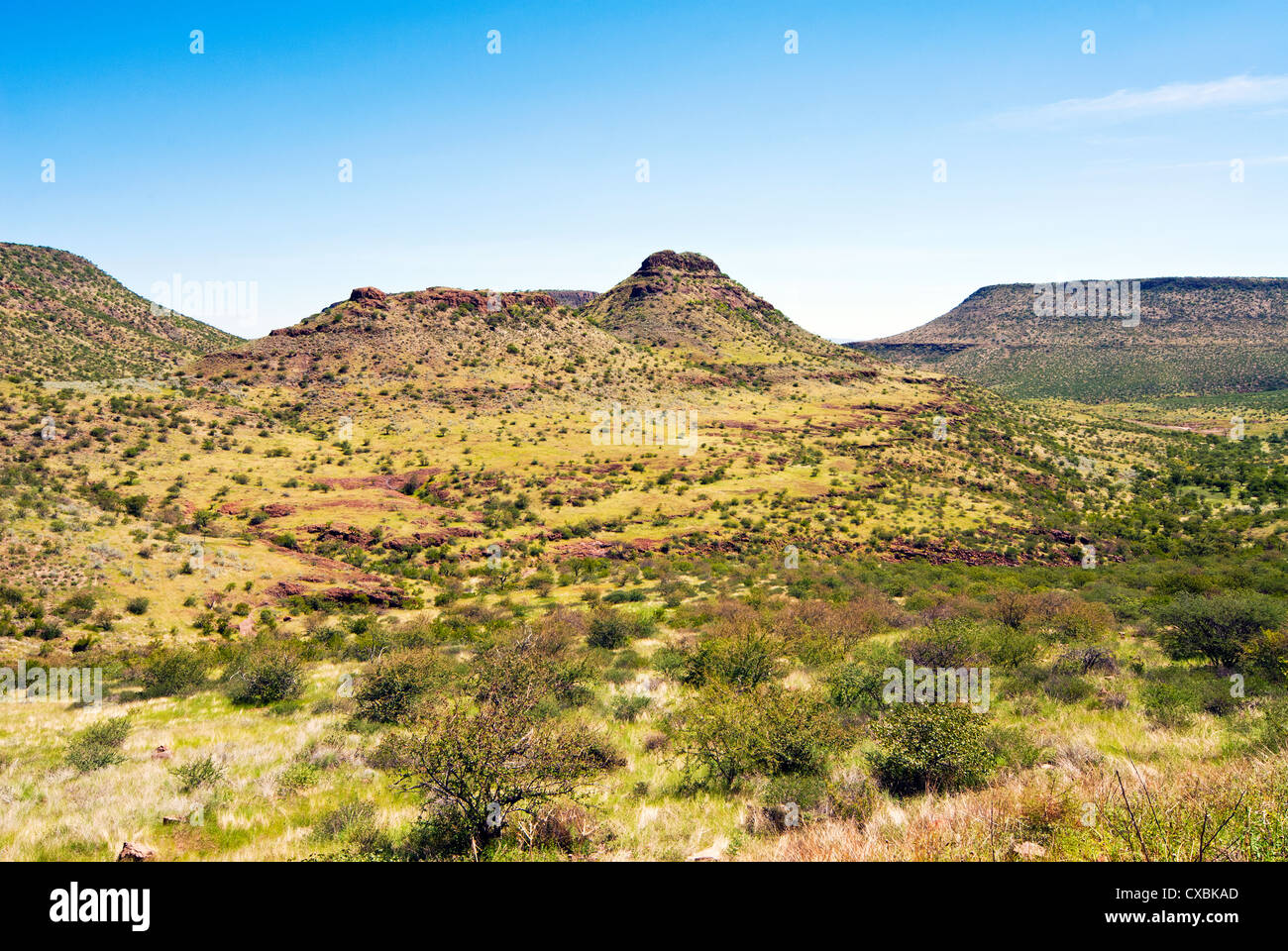 La région de Kunene, Damaraland, Namibie, Afrique Banque D'Images