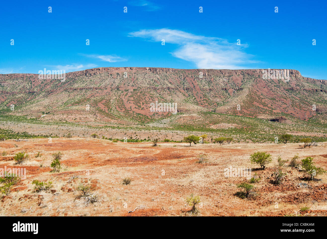 La région de Kunene, Damaraland, Namibie, Afrique Banque D'Images