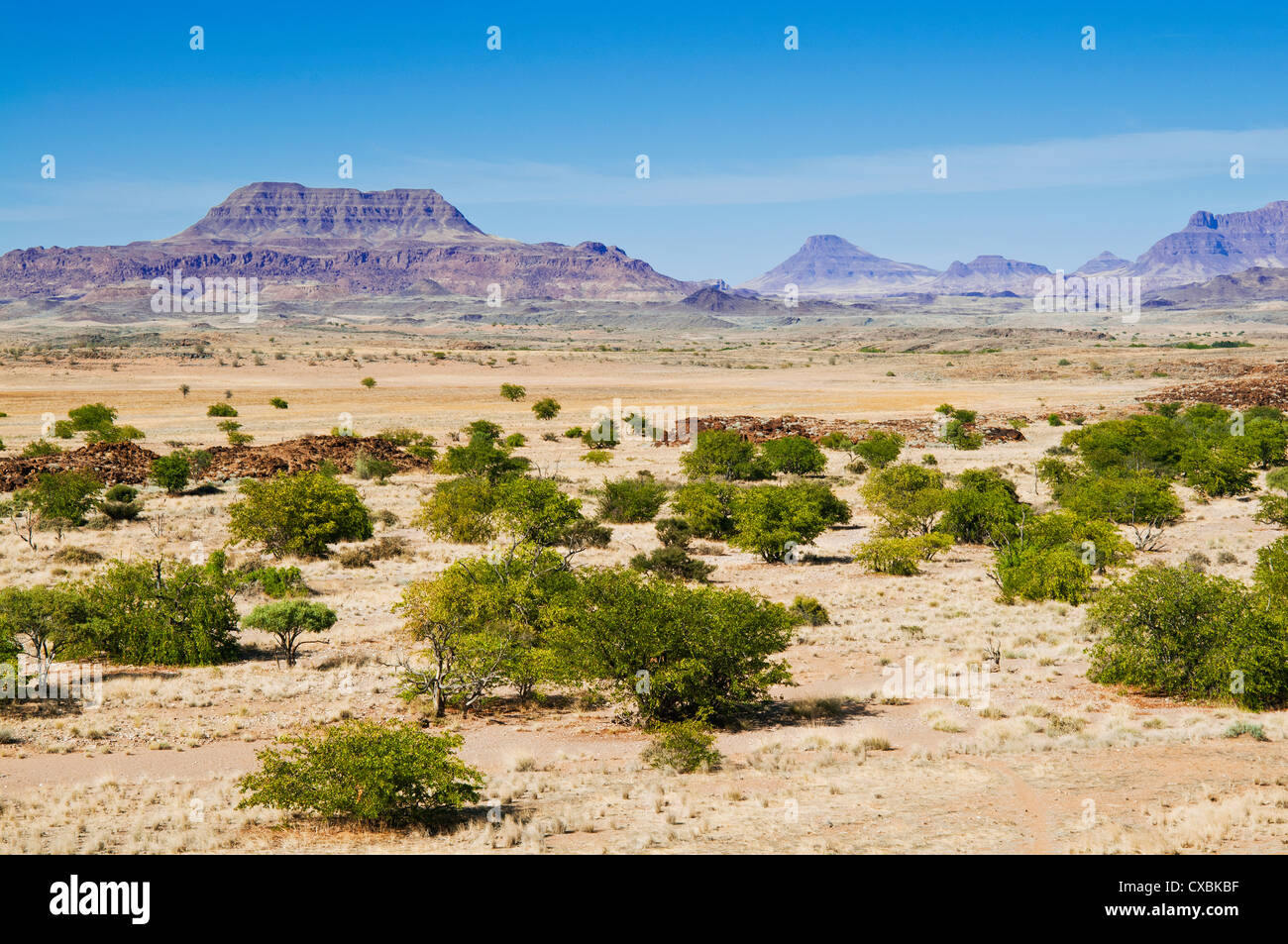 La région de Kunene, Damaraland, Namibie, Afrique Banque D'Images