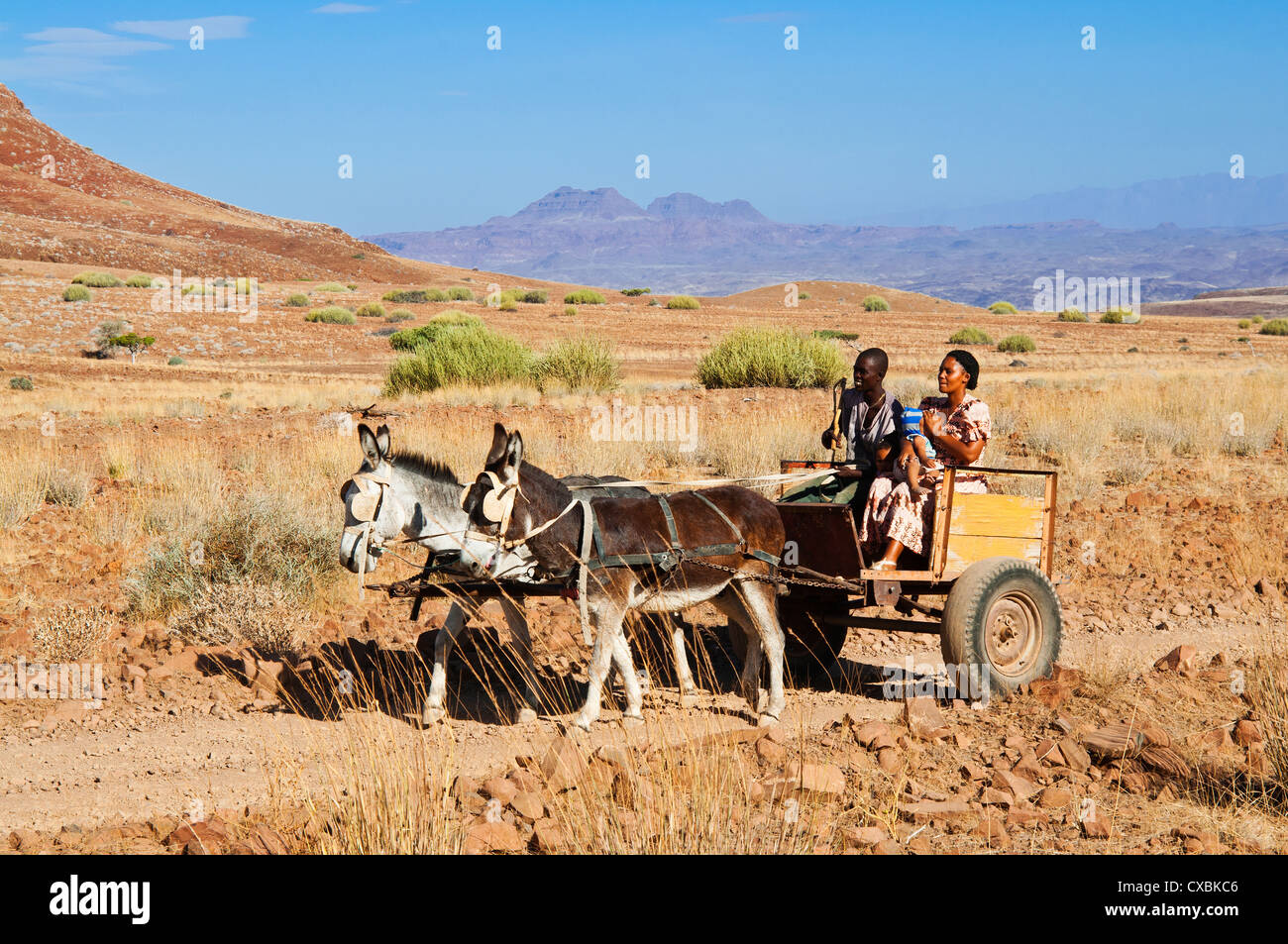 Famille Damara, Damaraland, région de Kunene, Namibie, Afrique Banque D'Images