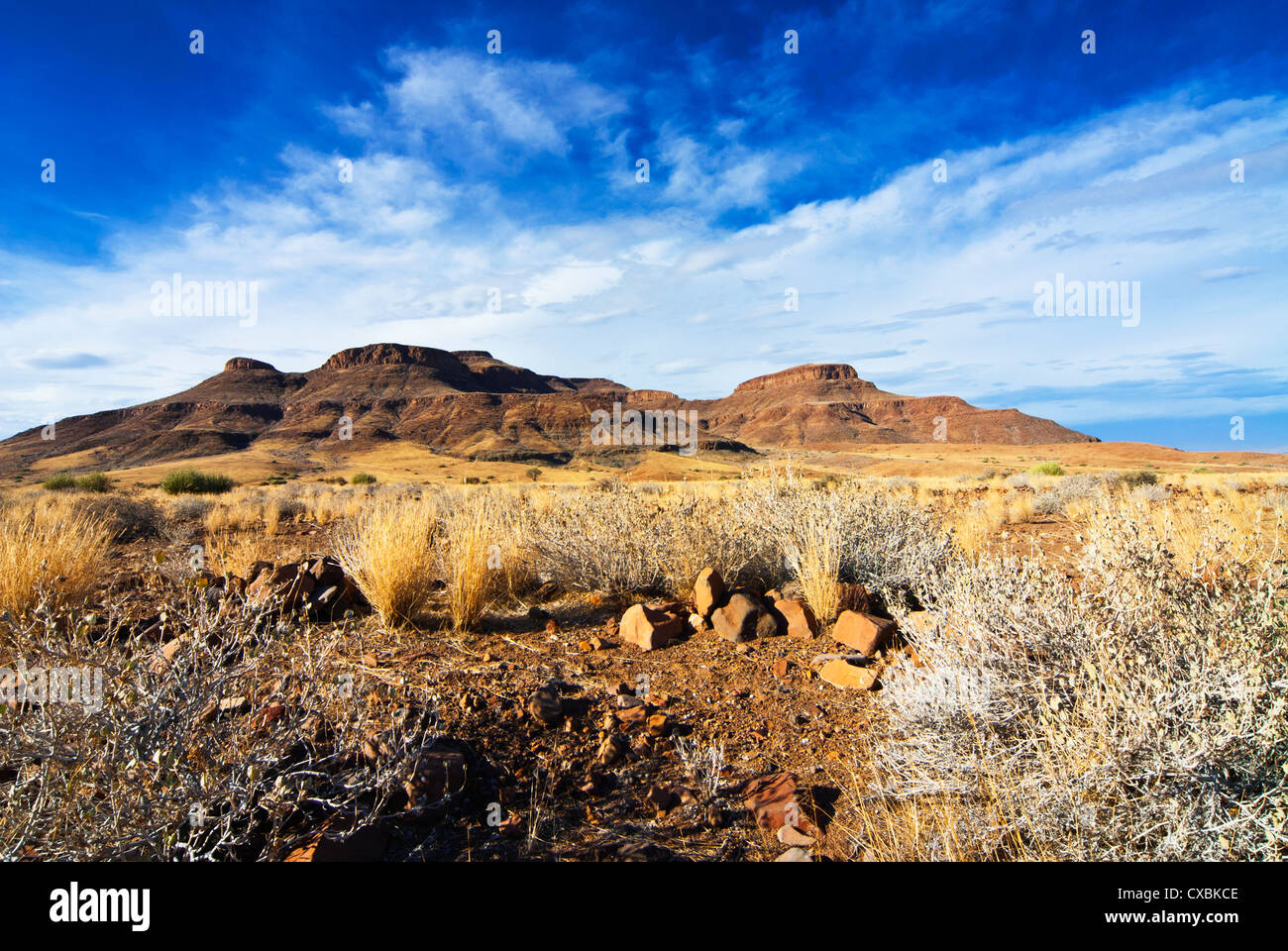 Zone de vallée de la rivière Huab, Damaraland, région de Kunene, Namibie, Afrique Banque D'Images