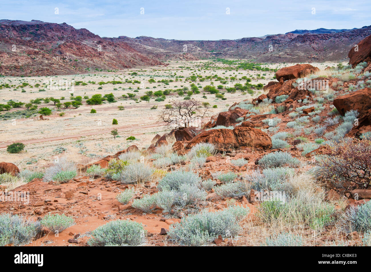 Twyfelfontein, site du patrimoine mondial de l'UNESCO, la région de Kunene, Damaraland, Namibie, Afrique Banque D'Images