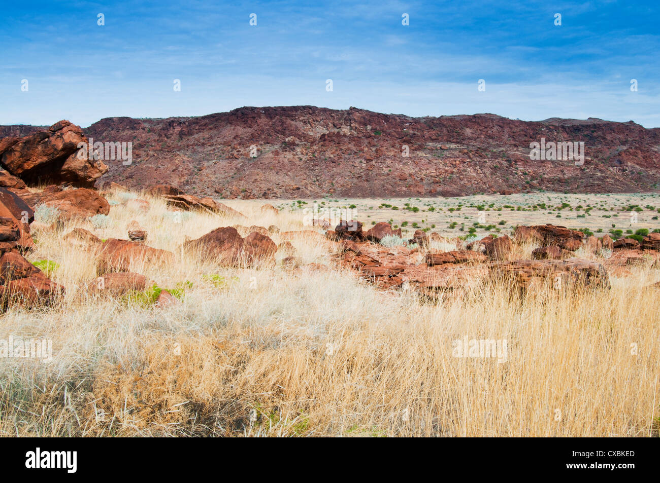 Twyfelfontein, site du patrimoine mondial de l'UNESCO, la région de Kunene, Damaraland, Namibie, Afrique Banque D'Images