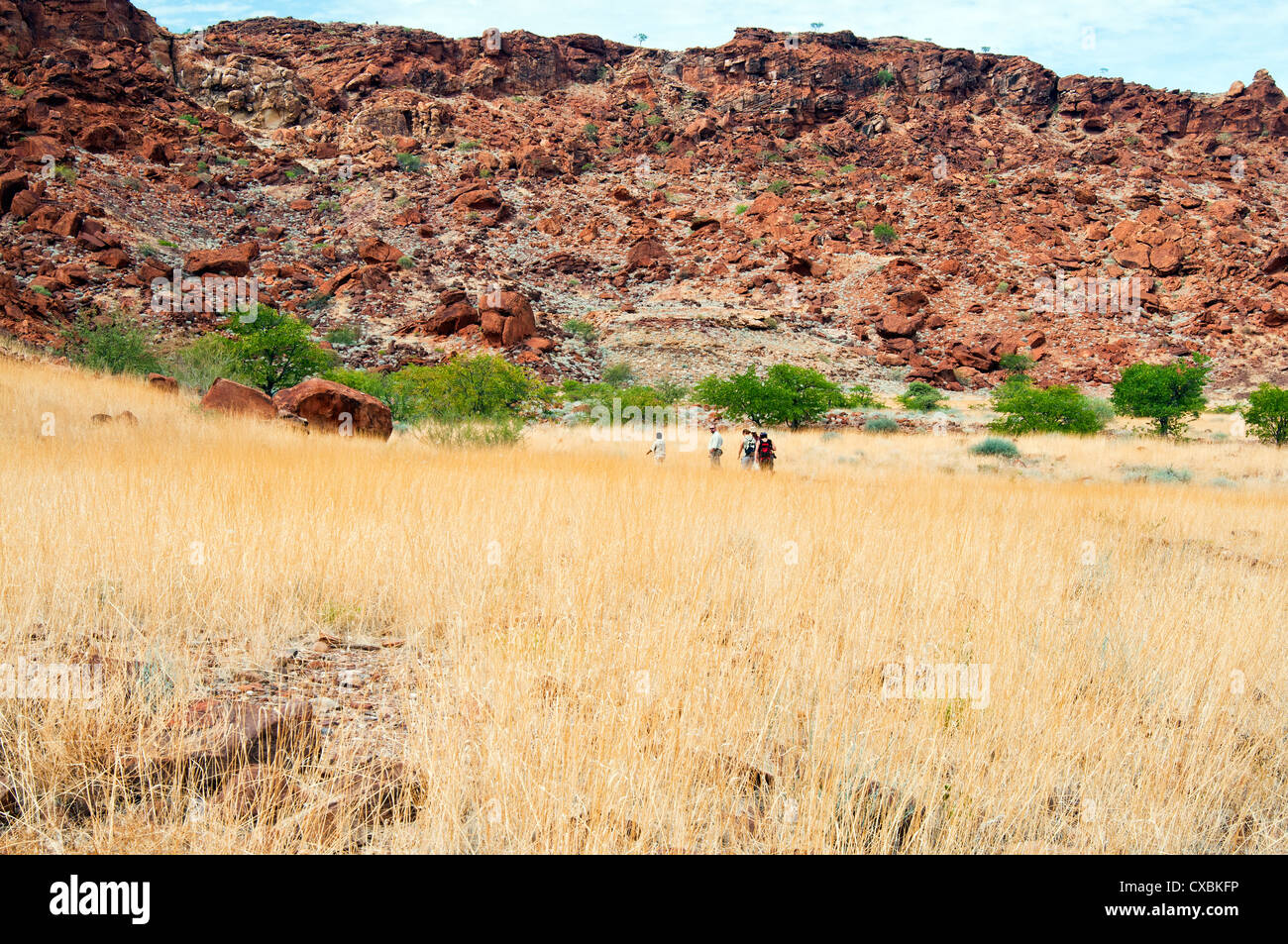 Twyfelfontein, site du patrimoine mondial de l'UNESCO, la région de Kunene, Damaraland, Namibie, Afrique Banque D'Images