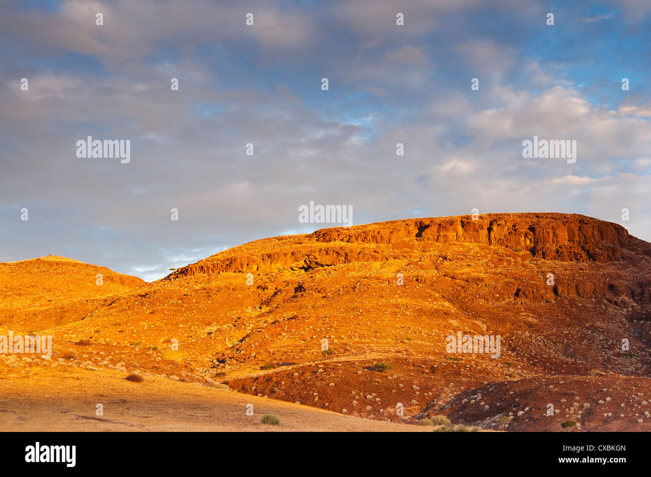 La région de Kunene, Damaraland, Namibie, Afrique Banque D'Images