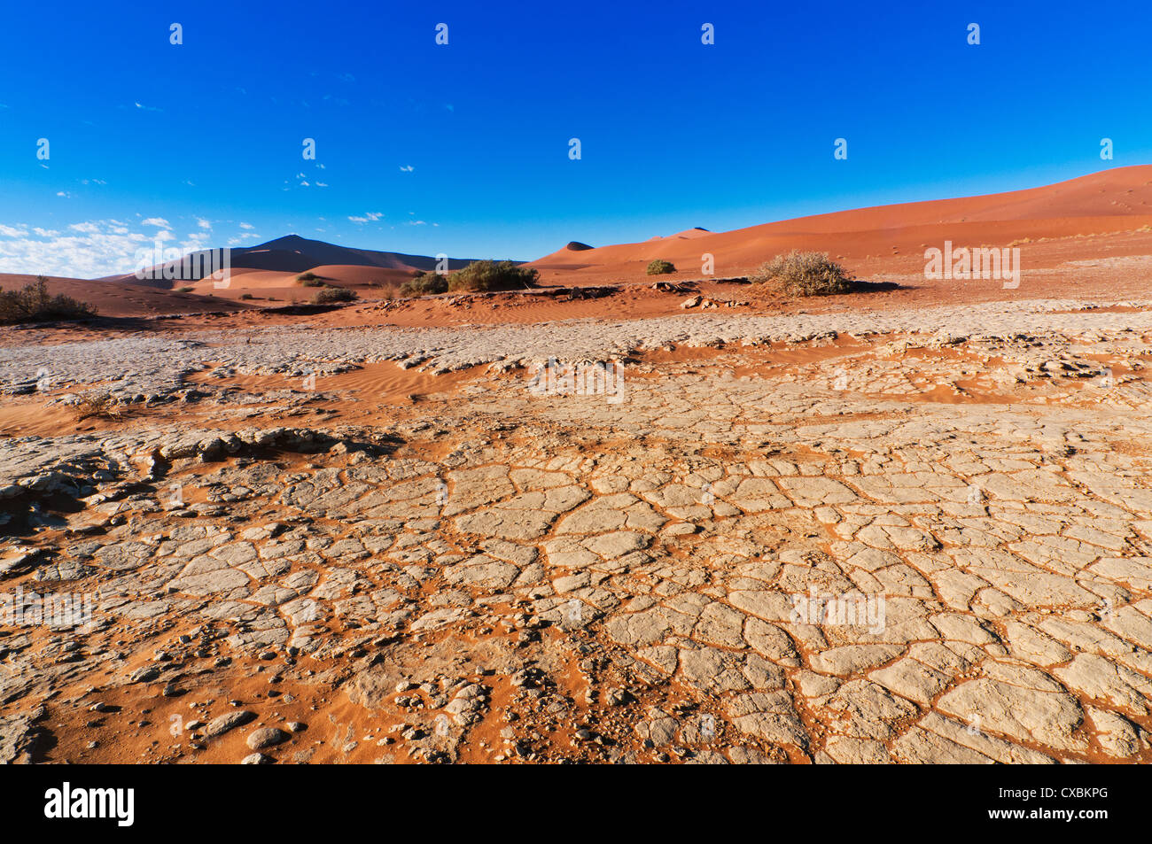 Vue sur dunes, Sossusvlei, Désert du Namib, le Namib Naukluft Park, Namibie, Afrique Banque D'Images