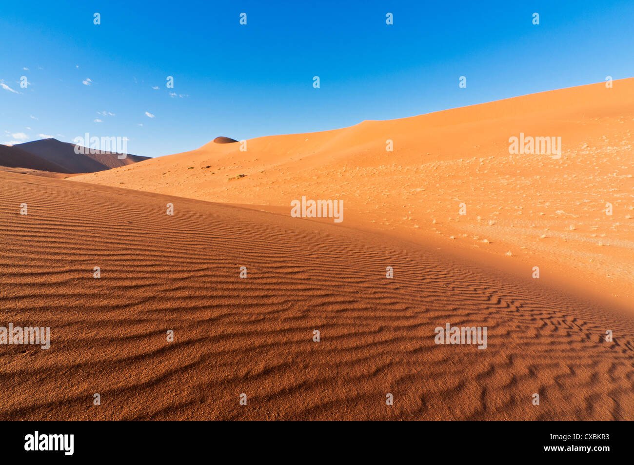 Vue sur dunes, Sossusvlei, Désert du Namib, le Namib Naukluft Park, Namibie, Afrique Banque D'Images