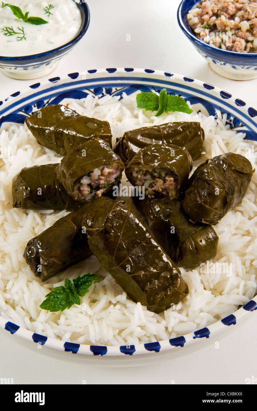 Dolma (Dolmades), feuilles de vigne farcies de viande et de riz, la Turquie et la Grèce Banque D'Images