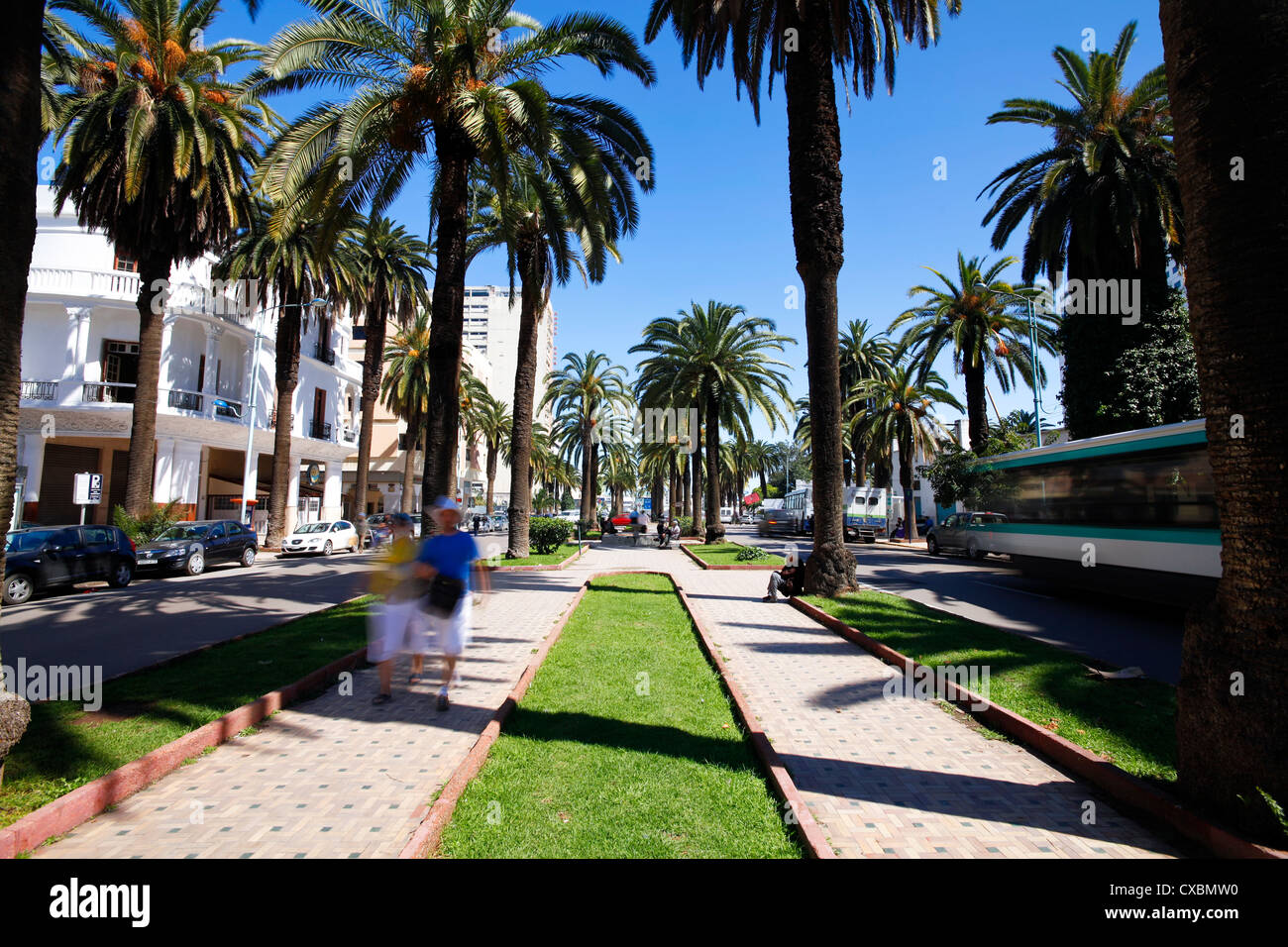 Le Boulevard de Rachidi, une large rue bordée d'arbres typiques dans le quartier smart Lusitania, Casablanca, Maroc, Afrique du Nord Banque D'Images