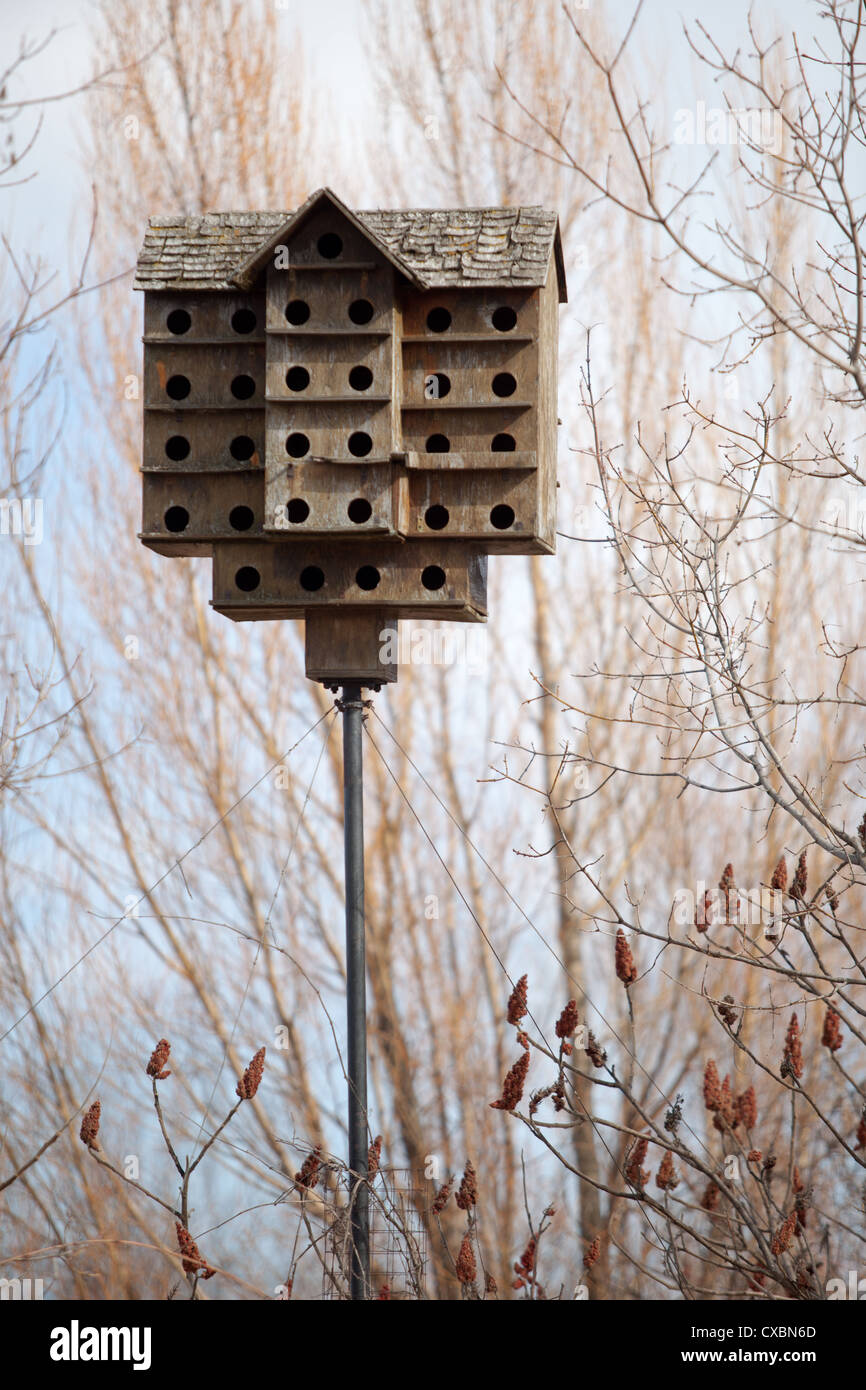 Une maison d'oiseau ou un condominium. Banque D'Images