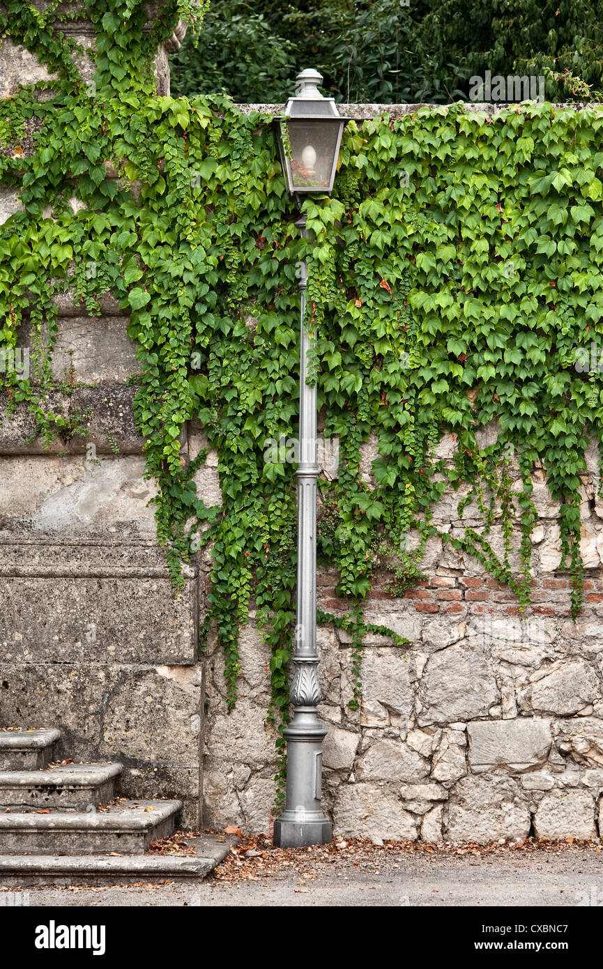 Un vieux mur en pierre et un lampadaire surcultivés avec le super-réducteur de Virginie (Parthenocissus quinquefolia), en Vénétie, dans le nord de l'Italie Banque D'Images