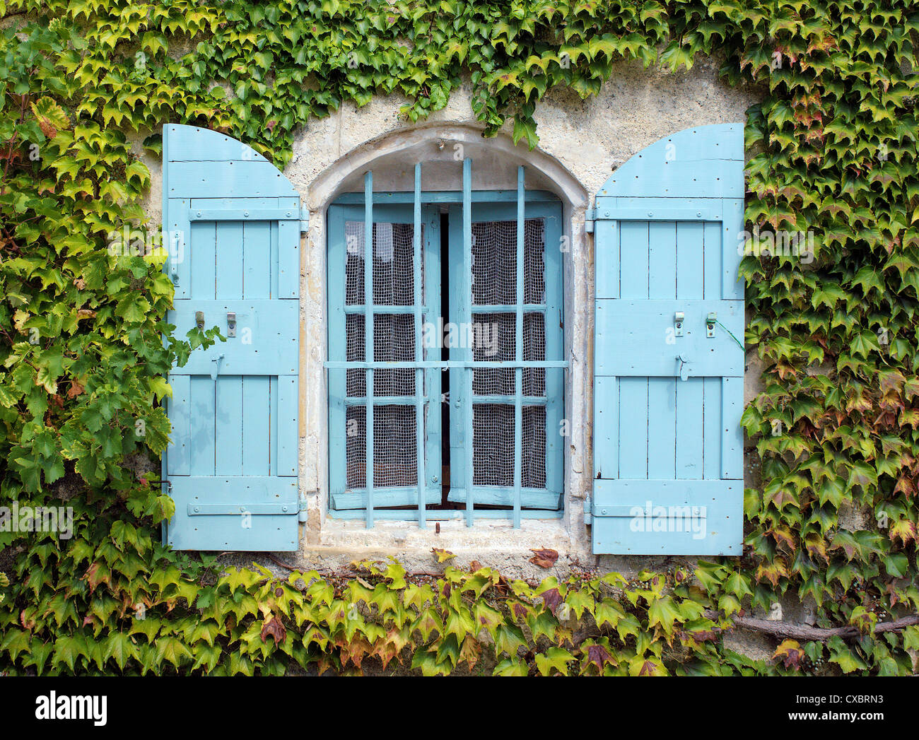 Fenêtre provençale aux volets bleus dans le réducteur Bonnieux Vaucluse provence france Banque D'Images