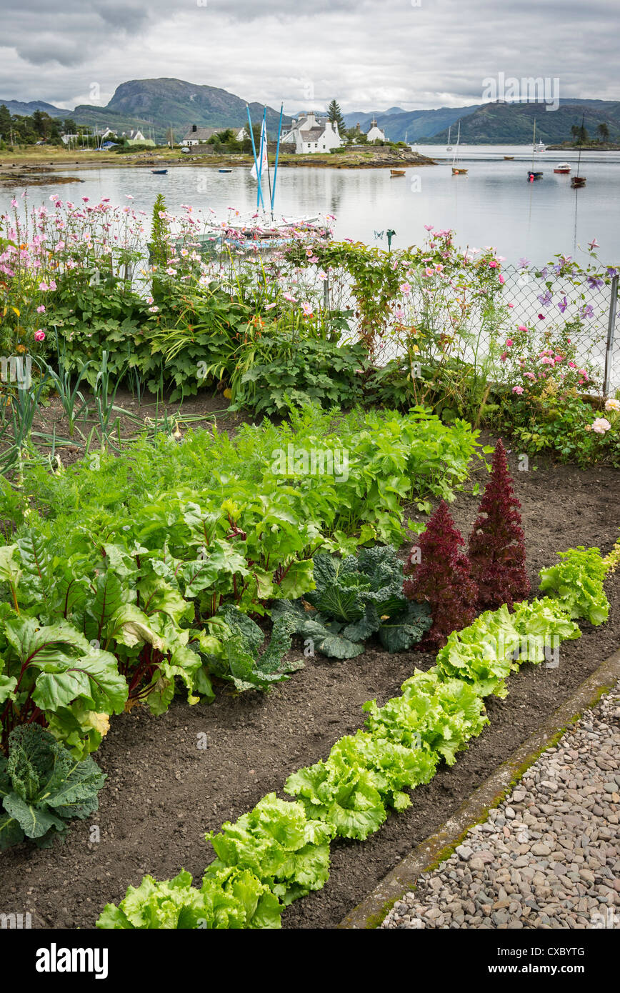 Petit potager au bord de l'eau surplombant le Loch Carron dans les Highlands écossais UK UE Banque D'Images