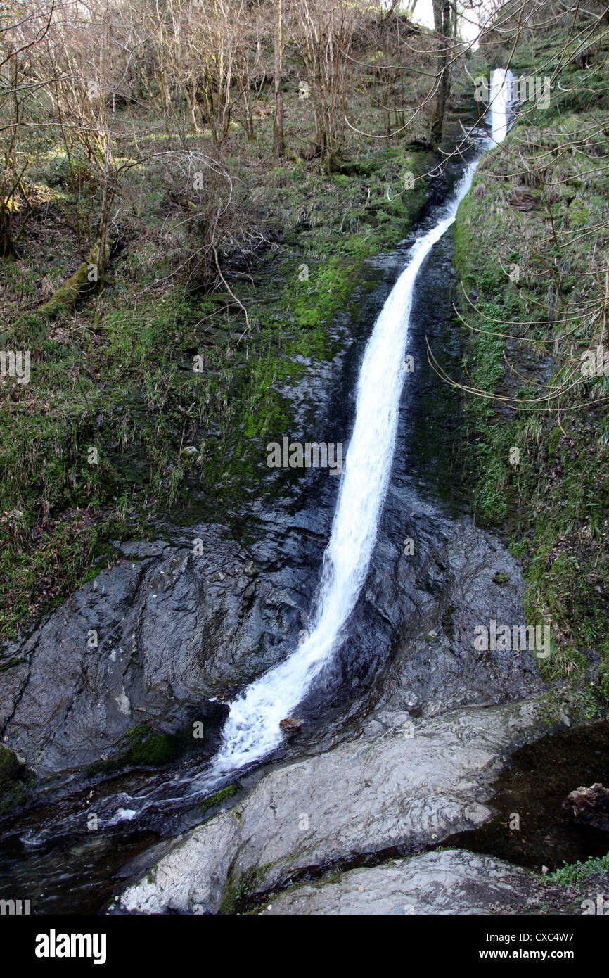 White Lady Falls, célèbre tall waterfall in Gorge de Lydford sur le bord de Dartmoor, dans le Devon, Angleterre, Royaume-Uni, Europe Banque D'Images