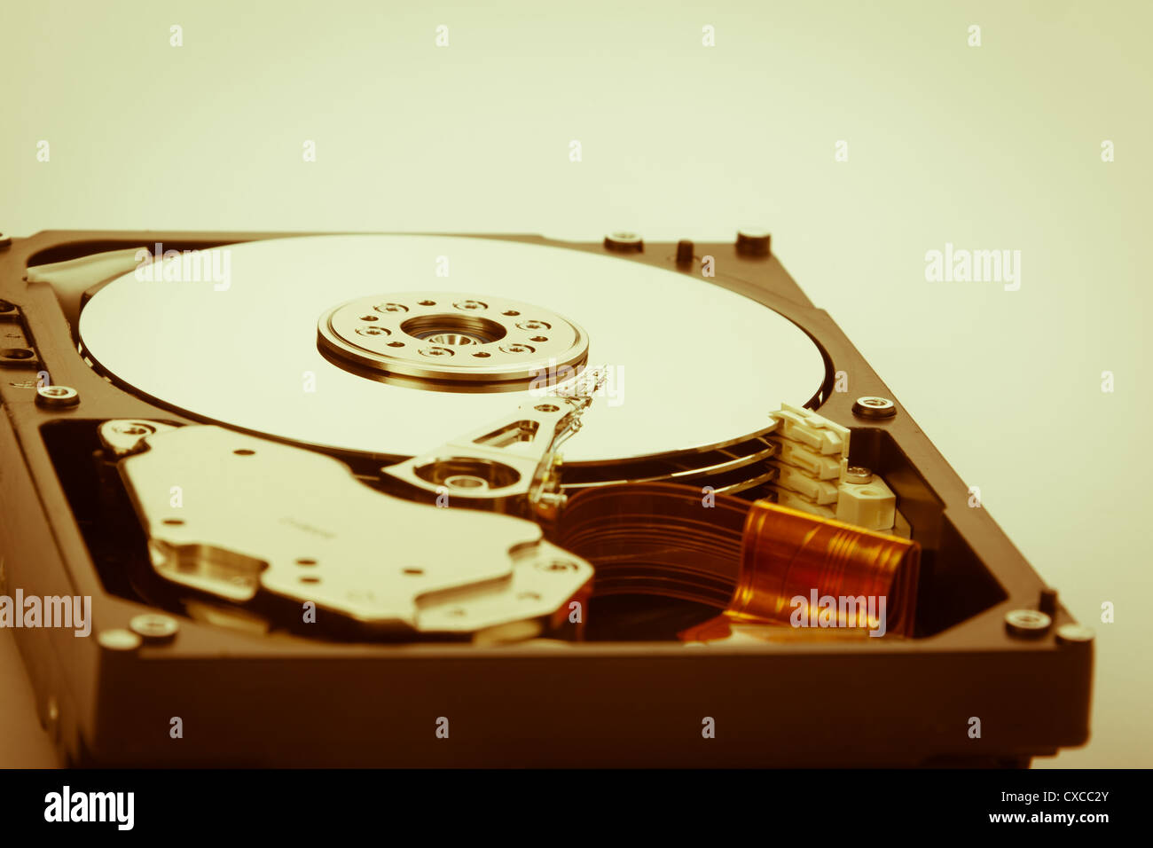 Un disque dur ouvert sur fond blanc Banque D'Images