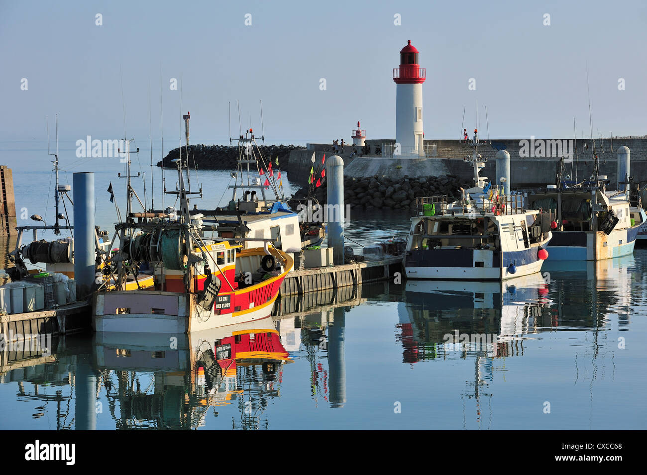 Bateaux de pêche dans le port de la Cotinière, sur l'île Ile d'Oléron, Charente-Maritime, Poitou-Charentes, France Banque D'Images