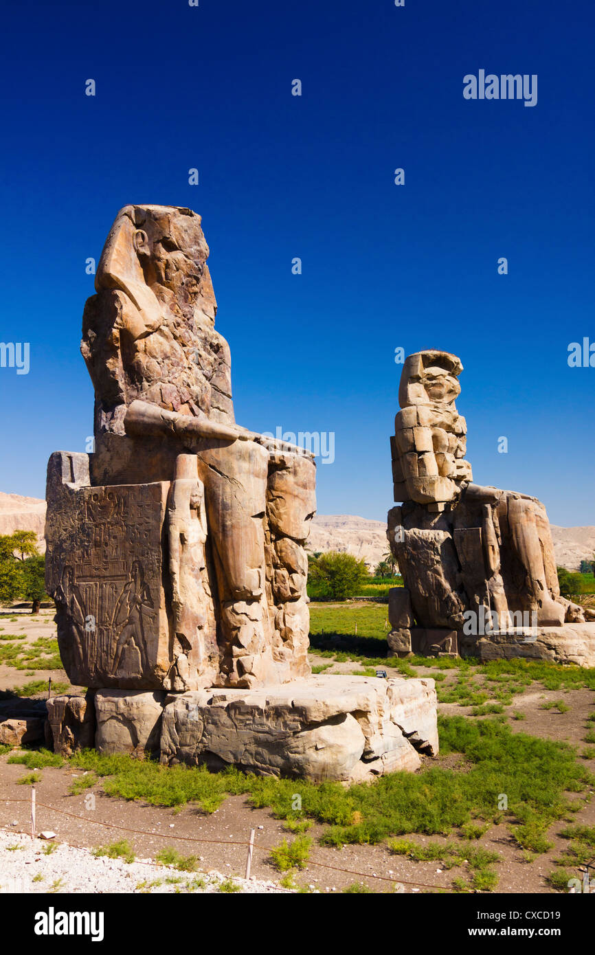 Colosses de Memnon. Louxor, Cisjordanie, l'Egypte Banque D'Images